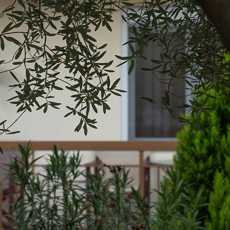 Guesthouse Adonis Káto Loutrákion Kültér fotó