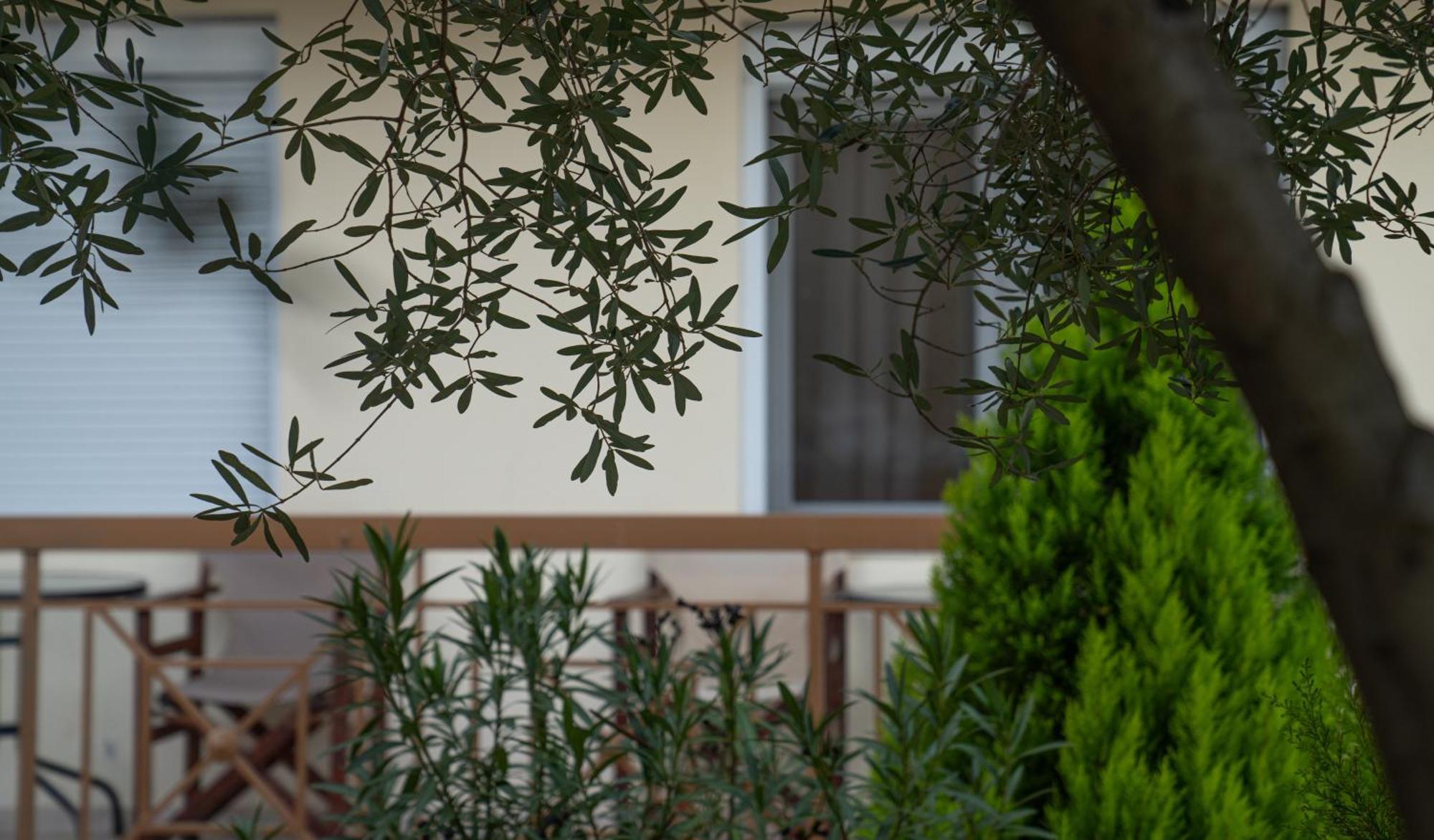 Guesthouse Adonis Káto Loutrákion Kültér fotó
