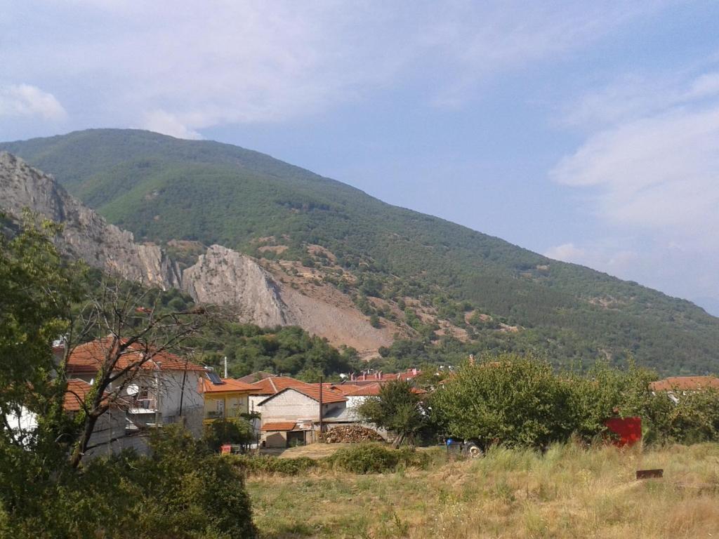 Guesthouse Adonis Káto Loutrákion Kültér fotó