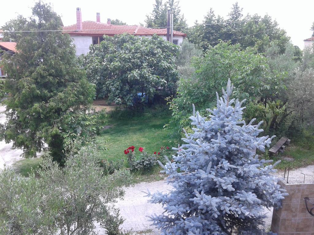 Guesthouse Adonis Káto Loutrákion Kültér fotó
